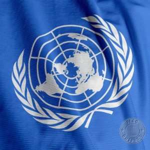  United Nations 6 x 10 Nylon Flag Patio, Lawn & Garden