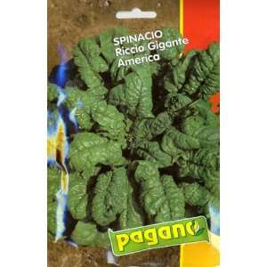   (Spinacio) Riccio Gigante America Seed Packet Patio, Lawn & Garden