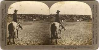1902 Geneseo Kansas Cattle RoundUp Photo Stereoview  