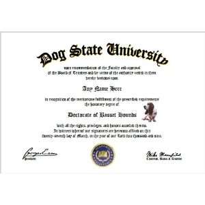   Hounds Diploma   Basset Hound Dog Lover Diploma: Everything Else