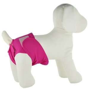 PlayaPup Dog Diaper for Incontinence/House Training, X Small, Solid 