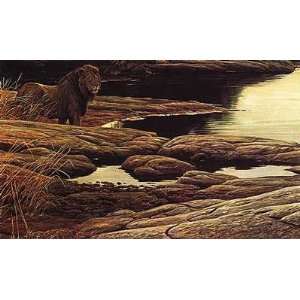    Robert Bateman   Lion at Tsavo Artists Proof