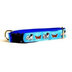 Designer Papillon Dog Collar   Blue Papillon Collar   Small   Made in 