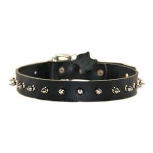  Spiked Punch Dog Collar   3 colors: Pet Supplies