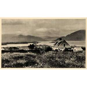  1943 Killarney Ireland County Kerry Cill Airne Sloe 