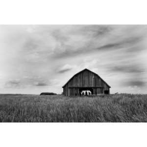 Barnstorming 2, Limited Edition Photograph, Home Decor Artwork 