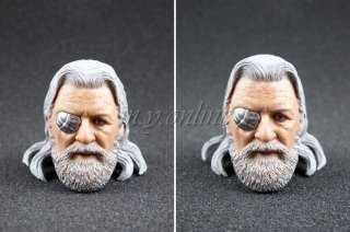 Hot Toys Thor ODIN Figure 1/6 HEAD with EXTRA HAIR  