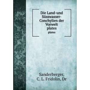   Conchylien der Vorwelt. plates C. L. Fridolin, Dr Sanderberger Books