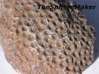 Siaz PETOSKEY STONE FOSSIL CORAL ROUGH NATURAL DISPLAY LAPIDARY 2.3 