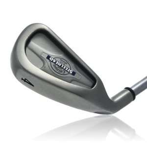 Big Bertha SteelHead mens 6 iron