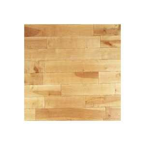  Birchall Strip Country Sunset Birch