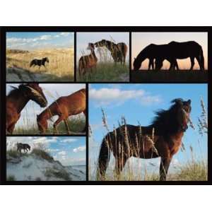  Peter Duran Wild Horses Jigsaw Puzzle: Toys & Games
