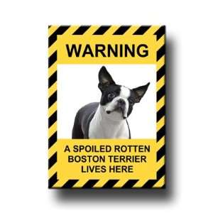   Boston Terrier Spoiled Rotten Fridge Magnet: Everything Else