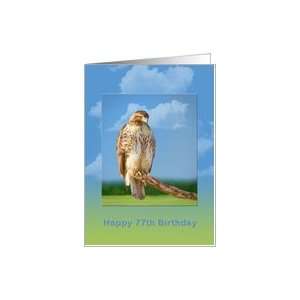  Birthday, 77th, Rough Legged Hawk Bird Card Toys & Games