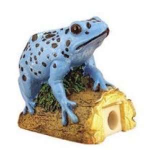  Blue Poison Dart Frog Pencil Sharpener: Toys & Games