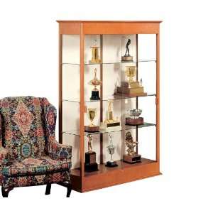  Waddell Display Case with Mirror Back