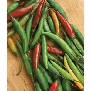  Pepper, Hot, Thai Hot 1 Pkt.(20 Seeds) Patio, Lawn 