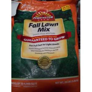  Fall Lawn Mix Grass Seed Mixture: Patio, Lawn & Garden