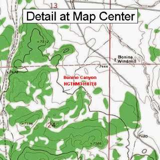  USGS Topographic Quadrangle Map   Bonine Canyon, New 
