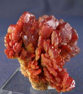CANDY RED VANADINITE CRYSTAL FLOWER, MIBLADEN, MOROCCO  