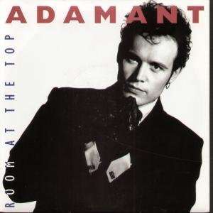  ROOM AT THE TOP 7 INCH (7 VINYL 45) UK MCA 1989 ADAM ANT 