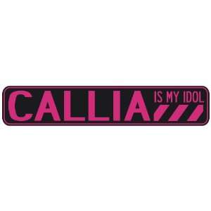   CALLIA IS MY IDOL  STREET SIGN