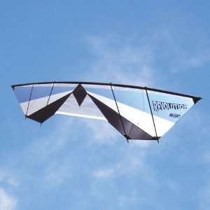   Blue Silver Quad Line Power Stunt Kite Made in the USA: Toys & Games