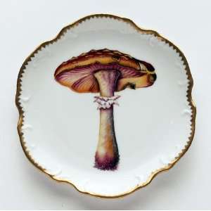   Forest Mushrooms #2 Hors DOeuvre Plate 6 In