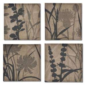  Botanical Elements Canvases   S/4: Home & Kitchen