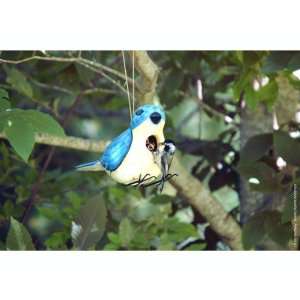  Eastern Bluebird Birdhouse (Bird Houses) (Bluebirds 