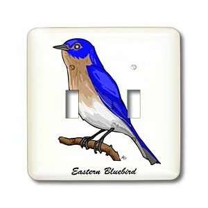  Mark Grace GRACEVISIONS Birds   BIRDS eastern bluebird 3 