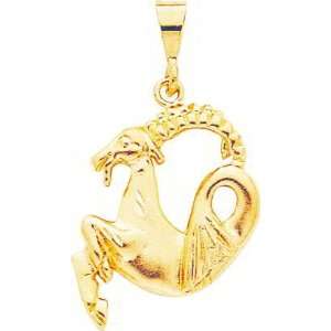  14K Gold Capricorn Zodiac Charm: Jewelry