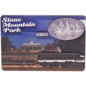  Georgia Magnet 3D Stone Mountain Case Pack 96: Everything 