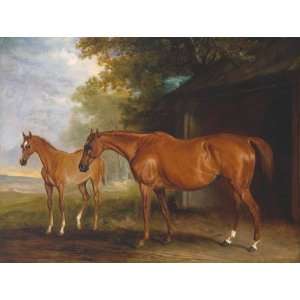   18 inches   Defiance, a Brood Mare, with Revelle Home & Kitchen