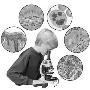 Beginners Human Tissue Microscope Slide Set  Industrial 