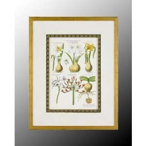   John Richard Botanical/Floral Decorative Items in Wood: Home & Kitchen