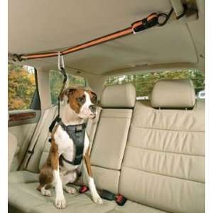  Auto Zip Line w/ Harness: Pet Supplies