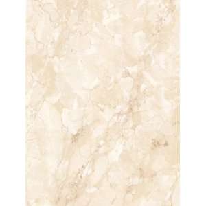  Wallpaper Steves Color Collection   Beige BC1580035: Home 