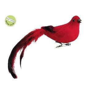 10 Singing Bird w/Long Tail & Metal Clip Red (Pack of 12 