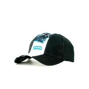  Carolina Panthers Black Skunk Style Hat: Everything Else