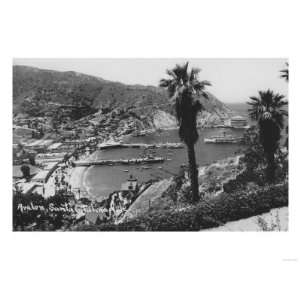 CA Santa Catalina Island View of Harbor Photograph   Catalina Island 