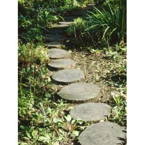  Stepping Stone Path Made of Circular Cross Sections of 