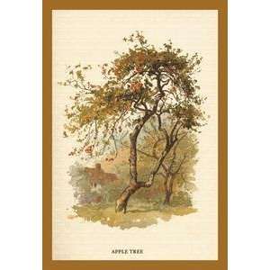  Vintage Art Apple Tree   17639 3
