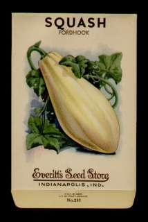   SQUASH FORDHOOK LITHO SEED PACKET   EVERITTS SEED, INDIANAPOLIS,IND