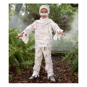 mummy boy costume: Toys & Games