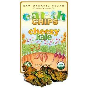 Earth Chips Raw Organic Cheezy Kale: Grocery & Gourmet Food