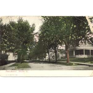   1908 Vintage Postcard   Park Avenue   Galena Illinois 