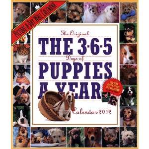 365 Puppies a Year 2012 Wall Calendar
