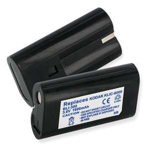   1520 mAh Black Digital Camera Battery for Ricoh CAPLIO Z1: Electronics
