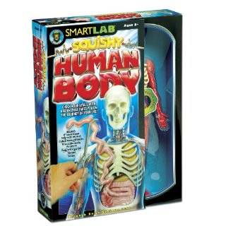  Skeleton (Dover Childrens Activity Books) Explore similar items